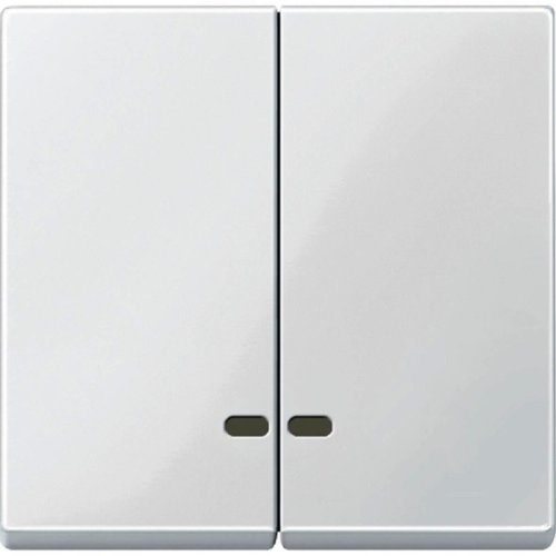 Лицевая панель Schneider Electric Merten System M для 2-кл. выключателя с подсветкой полярно белый картинка